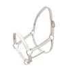 HB Leather Foal Halter