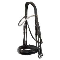 BR Weymouth Bridle Swindon II