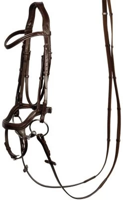 Harry's Horse Bridle Anatomic
