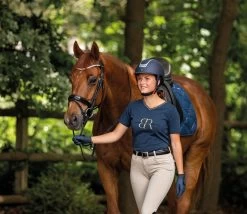 BR Bridle Plymouth II -Equestrian Supplies Online Shop 00001585W 3 302090508