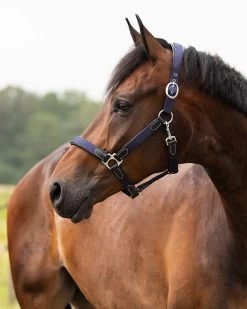 QHP Head Collar Combi -Equestrian Supplies Online Shop 00001842W 3 301090083