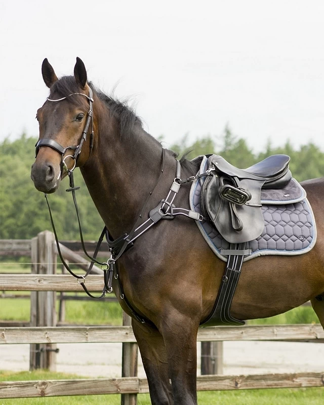 QHP Bridle Sedna 4 QHP Bridle Sedna - Image 4