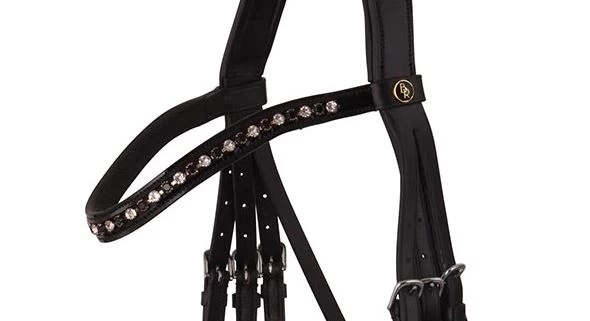 BR Weymouth Bridle Wendover 5 BR Weymouth Bridle Wendover - Image 5