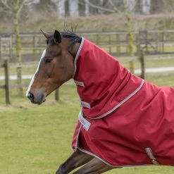 Bucas Irish Turnout Combi Neck 300grs -Equestrian Supplies Online Shop 00002241W 1 401334001