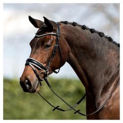 Anky Bridle Patent Leather - Round Stitched -Equestrian Supplies Online Shop 00002255W 2 302091060