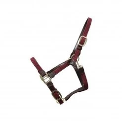 Kentucky Horsewear Kentucky Plaited Nylon Halter