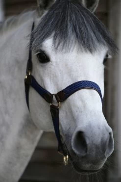 Kentucky Horsewear Kentucky Plaited Nylon Halter -Equestrian Supplies Online Shop 00002388W 2 301079108