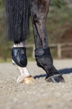 LeMieux Derby ProJump Fetlock Boot -Equestrian Supplies Online Shop 00002713W 4 313090064
