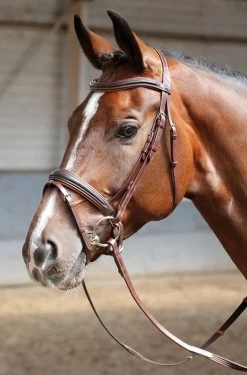 Harry's Horse Bridle Soft 7 Harry's Horse Bridle Soft -Equestrian Supplies Online Shop 00002756W 2 302050060