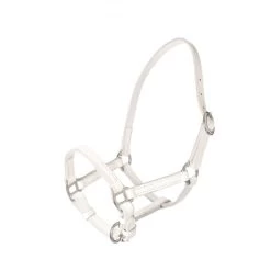 HB Leather Mini Foal Halter