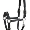Equiline Halter Timmy