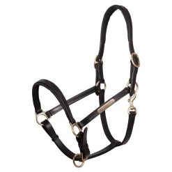 BR Premiere Leather Halter
