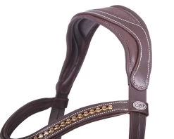 QHP Bridle Devi -Equestrian Supplies Online Shop 00003369W 3 302050116