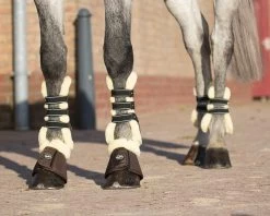 QHP Bell Boots Ontario -Equestrian Supplies Online Shop 00003618W 3 314050030