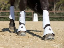 LeMieux ProShell Brushing Boots -Equestrian Supplies Online Shop 00003653W 3 312010114
