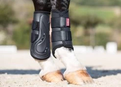 LeMieux ProShell Brushing Boots -Equestrian Supplies Online Shop 00003653W 3 312090220
