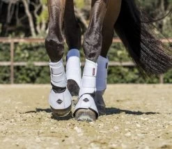LeMieux ProShell Brushing Boots -Equestrian Supplies Online Shop 00003653W 4 312010114