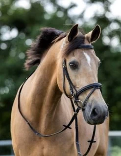 HB Bridle Basic -Equestrian Supplies Online Shop 00003732W 1 302090044