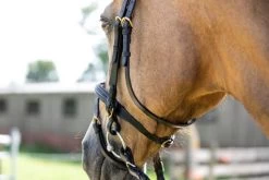HB Bridle Basic -Equestrian Supplies Online Shop 00003732W 2 302090044