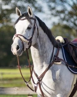 QHP Bridle Ontario -Equestrian Supplies Online Shop 00003747W 3 302050122