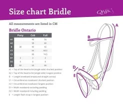 QHP Bridle Ontario -Equestrian Supplies Online Shop 00003747W 3 302090619