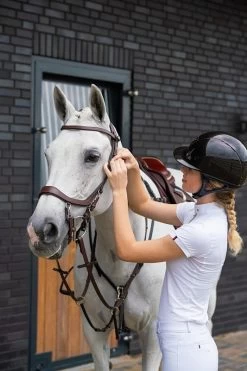 PresTeq Bridle FaySport -Equestrian Supplies Online Shop 00003749W 2 302050123
