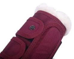 QHP Leg Protection Astana -Equestrian Supplies Online Shop 00003858W 2 312034011