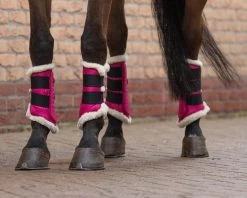 QHP Leg Protection Astana -Equestrian Supplies Online Shop 00003858W 2 312036018