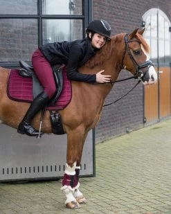 QHP Leg Protection Astana -Equestrian Supplies Online Shop 00003858W 3 312034011