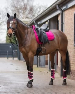 QHP Leg Protection Astana -Equestrian Supplies Online Shop 00003858W 3 312036018