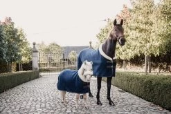 Kentucky Horsewear Kentucky Show Fleece Rug "Heavy" -Equestrian Supplies Online Shop 00003969W 4 406079091