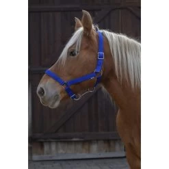 Norton Heascollar For Draught Horse -Equestrian Supplies Online Shop 00004119W 1 301070237