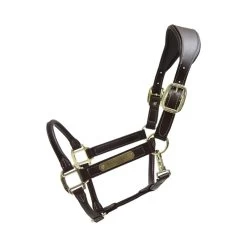Kentucky Horsewear Kentucky Leather Anatomic Halter -Equestrian Supplies Online Shop 00004142W 1 301059041