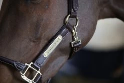 Kentucky Horsewear Kentucky Leather Anatomic Halter -Equestrian Supplies Online Shop 00004142W 3 301059041