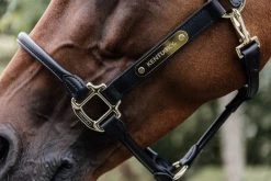 Kentucky Horsewear Kentucky Leather Anatomic Halter -Equestrian Supplies Online Shop 00004142W 3 301090342