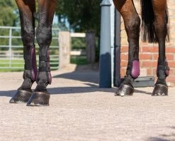 QHP Tendon Boots Set 38 QHP Tendon Boots Set -Equestrian Supplies Online Shop 00004286W 3 312034012