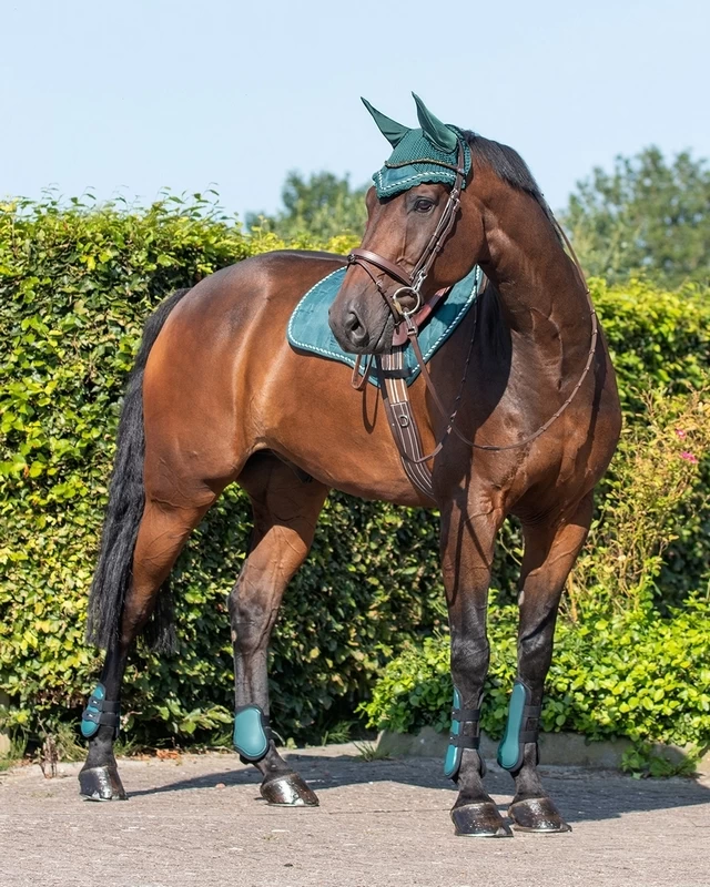 QHP Tendon Boots Set 15 QHP Tendon Boots Set - Image 15