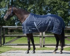 QHP Start Nylon Stable Rug 150gr -Equestrian Supplies Online Shop 00004313W 1 401179027
