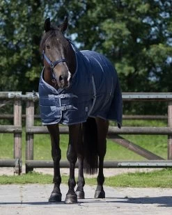 QHP Start Nylon Stable Rug 150gr -Equestrian Supplies Online Shop 00004313W 2 401179027