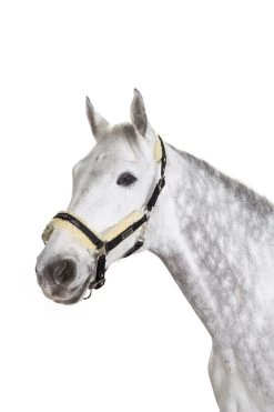 Eskadron Halter FauxFur -Equestrian Supplies Online Shop 00004503W 2 301090351