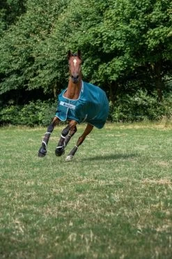 Bucas Atlantic Turnout 400gr -Equestrian Supplies Online Shop 00004530W 2 401060008