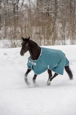 Bucas Atlantic Turnout 400gr -Equestrian Supplies Online Shop 00004530W 4 401060008