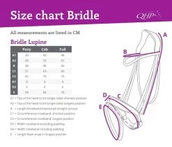 QHP Bridle Lupine -Equestrian Supplies Online Shop 00004643W 2 302090631