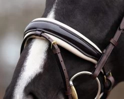 QHP Bridle Lupine -Equestrian Supplies Online Shop 00004643W 4 302050127