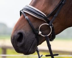 QHP Bridle Lupine -Equestrian Supplies Online Shop 00004643W 4 302090631