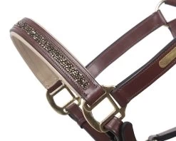 QHP Headcollar Leather Lupine -Equestrian Supplies Online Shop 00004646W 2 301050133