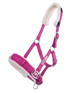 QHP Cavesson -Equestrian Supplies Online Shop 00004656W 1 305036016