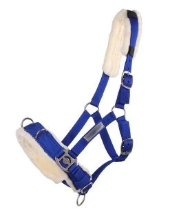 QHP Cavesson -Equestrian Supplies Online Shop 00004656W 1 305070051