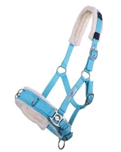 QHP Cavesson -Equestrian Supplies Online Shop 00004656W 1 305071009