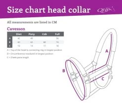 QHP Cavesson -Equestrian Supplies Online Shop 00004656W 2 305036016